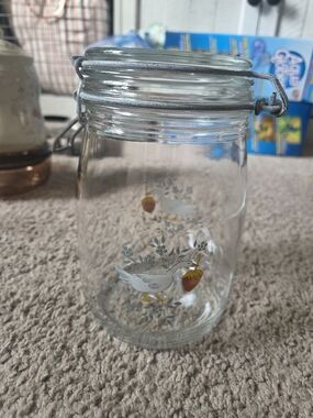 ARC France Niveau Vintage Geese Goose Duck Berry flowers Glass Canister Jar 1 L